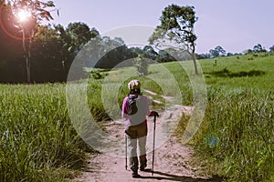 Backpacking asian woman walking with trekking pole at outdoor,Camping hiking concept