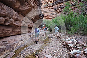 Backpacking family hiking in Hance Creek in the Grand Canyon.