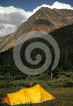 Backpacking tent in meadow