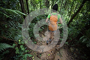 Backpacking woman hiking on trail in rainforest