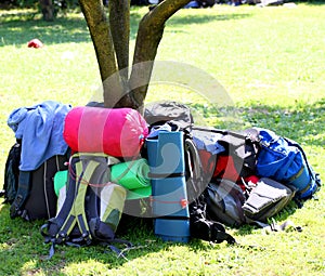 Backpacks of Boy Scouts around the tree during an excursion 2