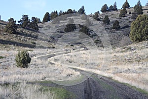 Backroad Winding through Desert Hills