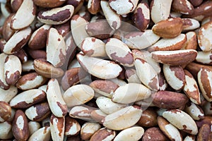 Background of new harvest Brazil nuts sold at local city market photo