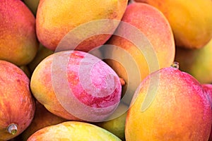 Backround of new harvest mango for sale at city market