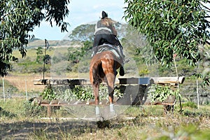 Backside of an Eventing equestrian