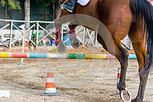 Backside Horizontal View Of A Brown Horse Jumping The Obstacle