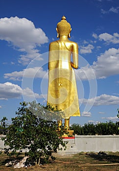 Backside of standing budha immage with blue sky