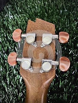 Backside of Ukulele Headstock with tuning peg