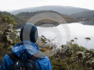 Backside view of a young Australian man looking at Lake Saint Clair in the woods in Tasmania