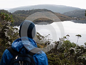 Backside view of a young Australian man looking at Lake Saint Clair in the woods in Tasmania