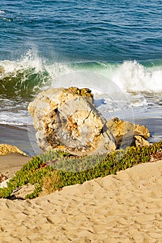 Backspray cresting wave with backwash foam breaking on a sandy shoreline