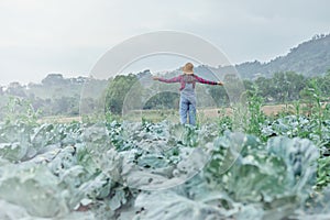 Backview Happy Female farmer standing on organic cabbage farm