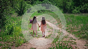 Backwards view of little identical twin sisters with long hair walking together holding hands at road among field