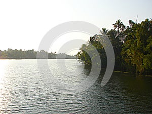 Backwater Canal in Kerala, India - A Natural Water Background