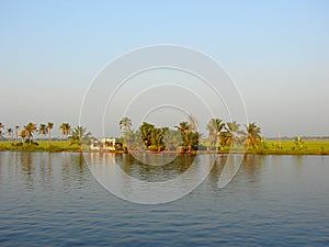 A Backwater Canal with a Rice Paddy and Palm Trees in Background, Kerala, India - A Natural Background