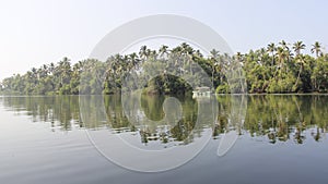 Backwater And Coconut Plantation with sightseeing tourist boat