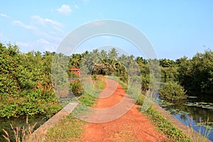 Backwater View near the Pazhayangadi Bridge in Kannur District in Kerala, India
