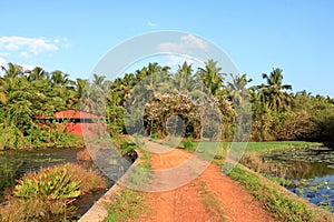 Backwater View near the Pazhayangadi Bridge in Kannur District in Kerala, India