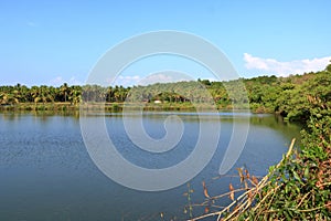 Backwater View in the Vayalapra Floating Park in Kannur District in Kerala, India