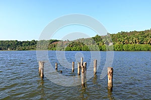 Backwater View in the Vayalapra Floating Park in Kannur District in Kerala, India