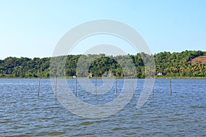 Backwater View in the Vayalapra Floating Park in Kannur District in Kerala, India