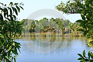 Backwater View in the Vayalapra Floating Park in Kannur District in Kerala, India