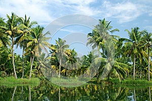 Backwaters of Kerala