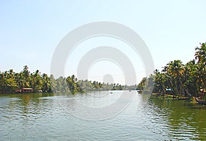 Backwaters in Kerala captured from Houseboat, India