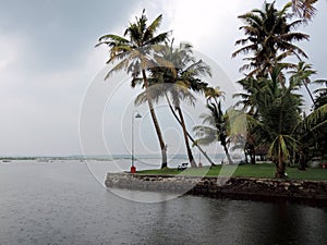 Backwaters of Kerala, palm trees - India tourism