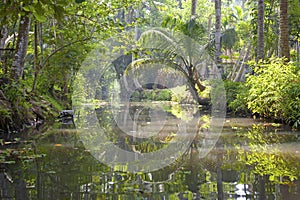 backwaters of Kerela, India