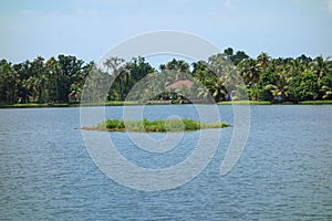 Backwaters network of brackish lagoons in Kerala