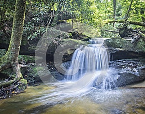 Backwoods Kentucky waterfall