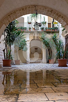 Backyard with arch, plants in pots, stairs, puddle and lantern. Patio decoration. Ancient courtyard background.
