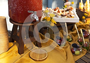 Backyard barbeque party at summer, elegant decoration, luxury catering