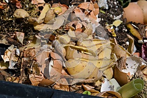 A backyard composter