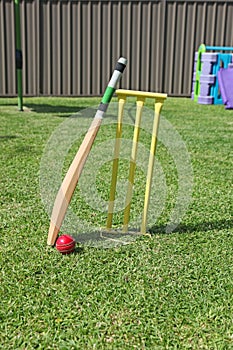 Backyard Cricket