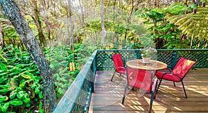 A backyard deck in the Hawaiian rainforest.