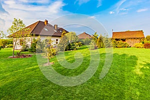 Backyard of a family house. Spacious landscaped garden with green mown grass