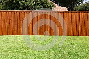 Backyard Fence