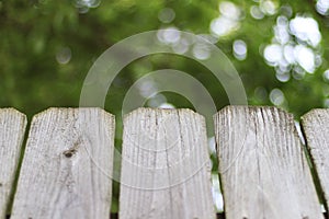 Backyard fence perspective