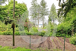 Backyard with fenced garden bed