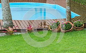 Backyard with a fiberglass pool on a wooden deck with flower pots and trees photo