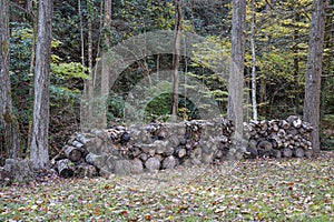 Backyard Fire Wood Stack