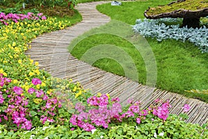 Backyard flower garden