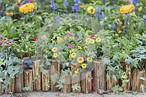 Backyard flower garden