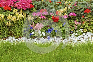 Backyard flower garden of residential house