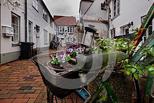 Backyard with flowers in Lubeck Town. Germany
