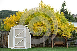 Backyard Full of Fall Colors