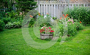 Backyard Garden