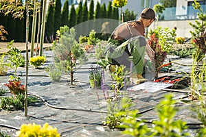 Backyard Garden Drip Irrigation System Installed by Gardener